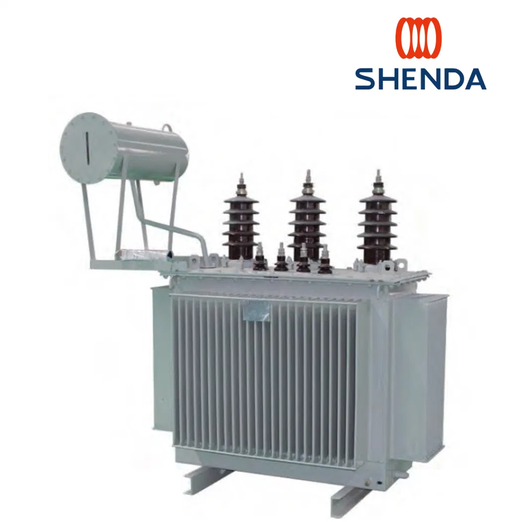 10 Kv Level Full Sealed Distribution Transformer